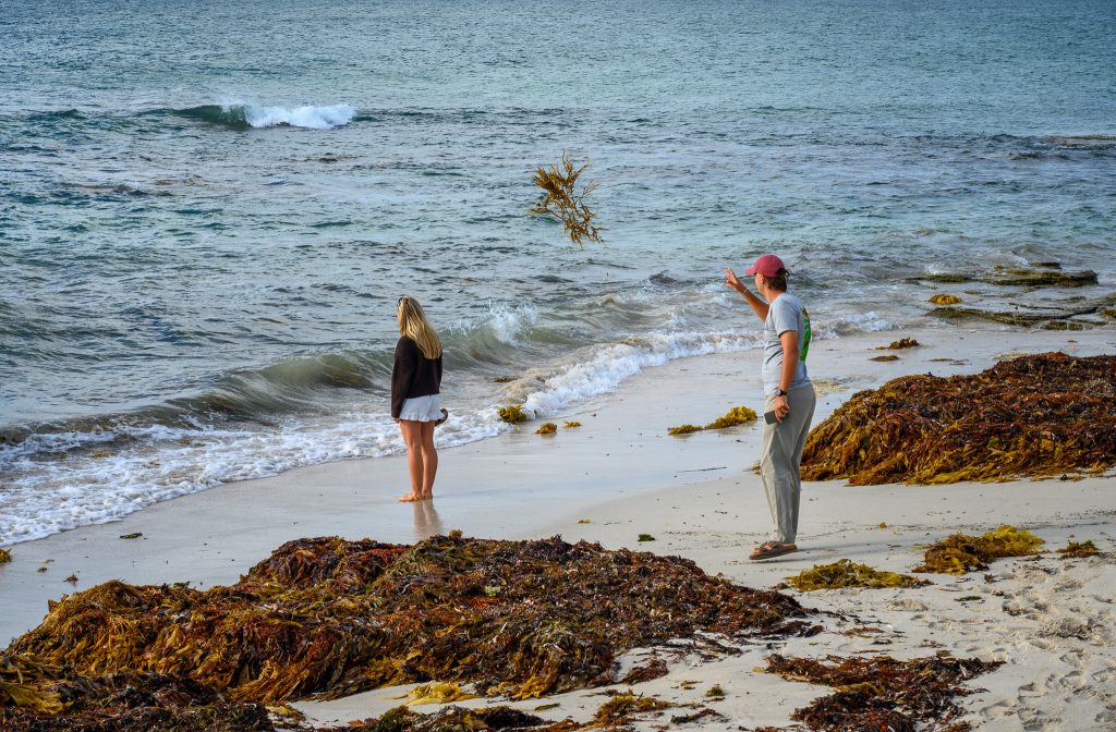 Travel companions acting silly in Denmark, WA