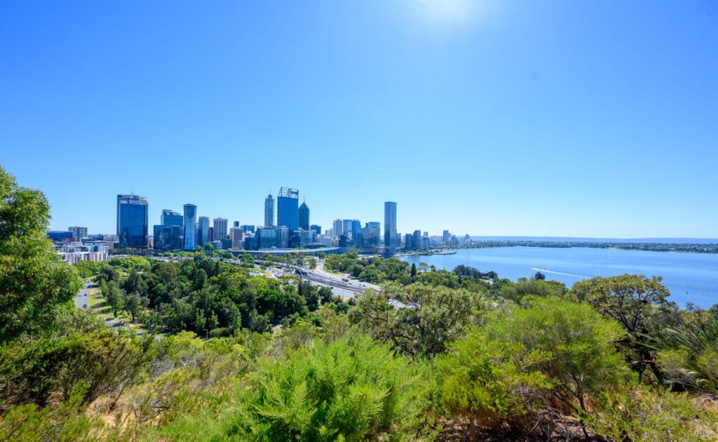 Perth Skyline From Kings Park