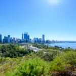 Perth Skyline From Kings Park