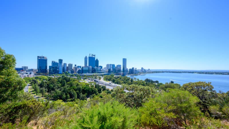 Perth Skyline From Kings Park