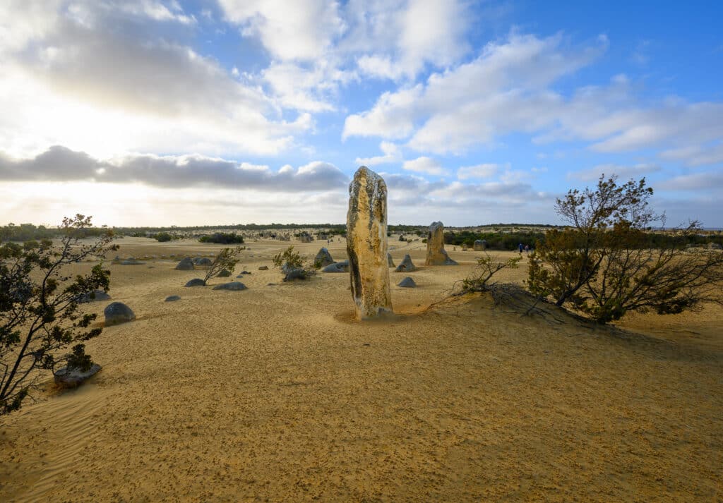 The Pinnacles at sunset guided tour