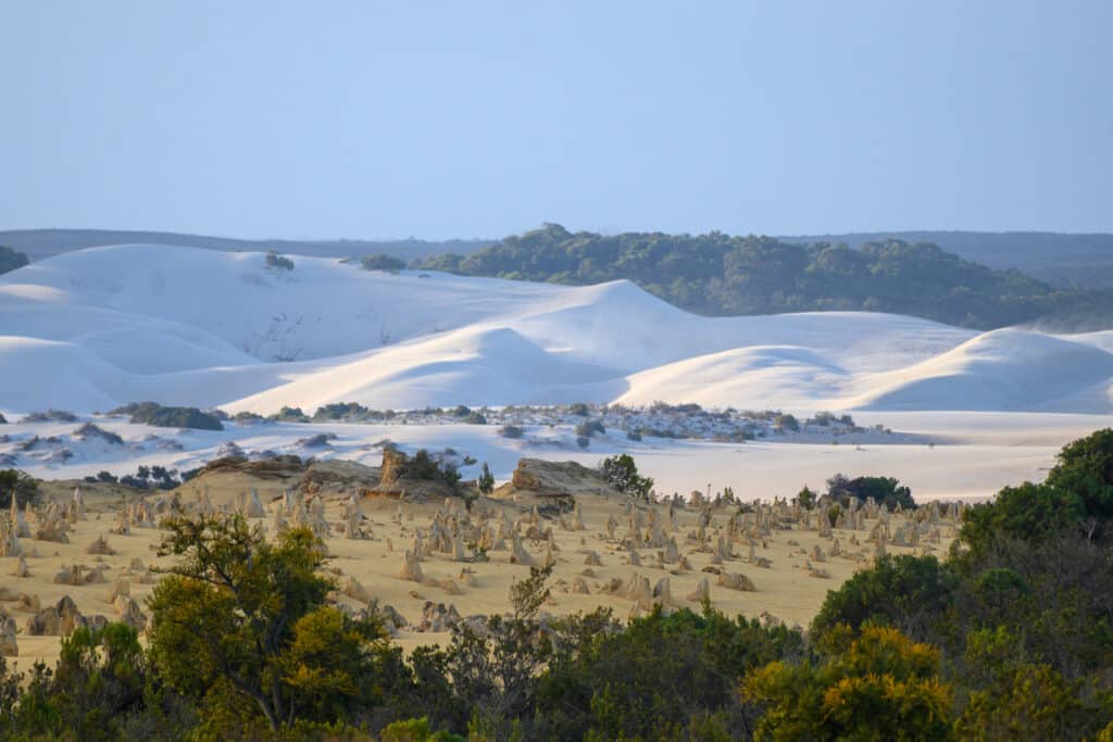 The Pinnacles at sunset guided tour Sand dunes