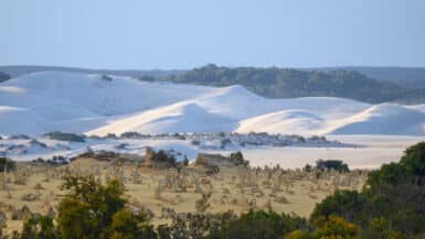 The Pinnacles at sunset guided tour Sand dunes