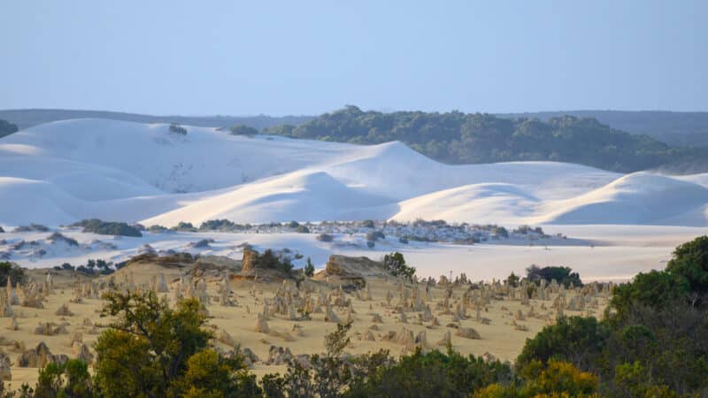 The Pinnacles at sunset guided tour Sand dunes