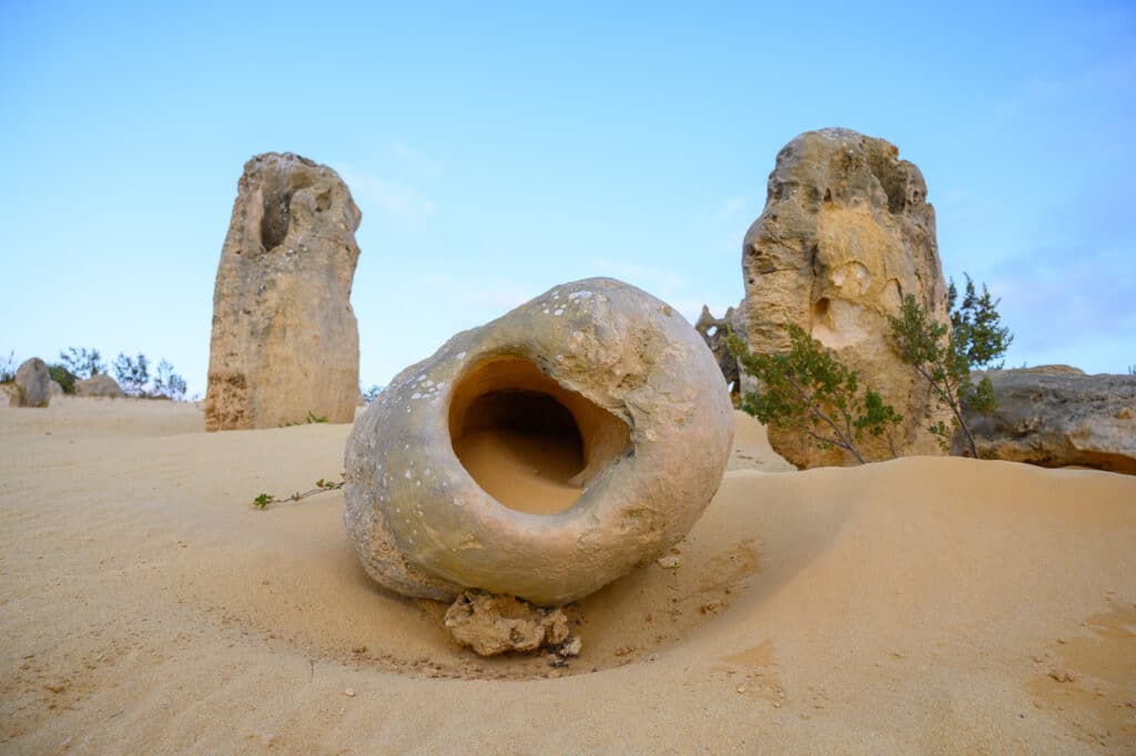 The Pinnacles at sunset guided tour