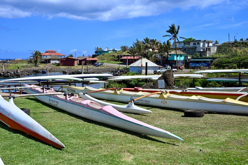 A line of white canoes lined up on pale grass in front of low lying buildings and a palm tree on the horizon. Blue sky above