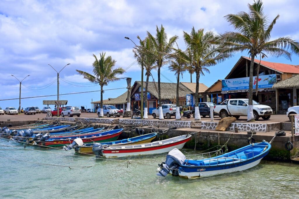 Clear harbour waters in front. A row of painted small wooden boats tied up along harbour across middle of frame. Row of palm trees above. Buildings behind. Blue sky above