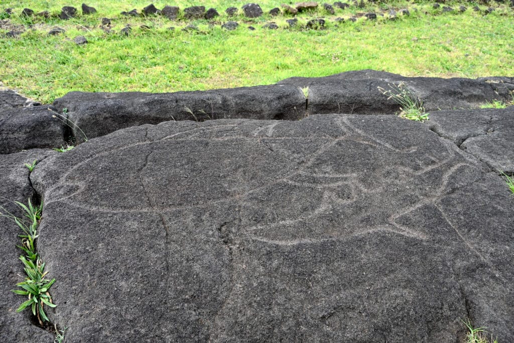 A large slab of black rock fills the bottom two thirds of the frame. Grass in the top third. On the slab are petroglyphs of what look to be a large fish and a shark