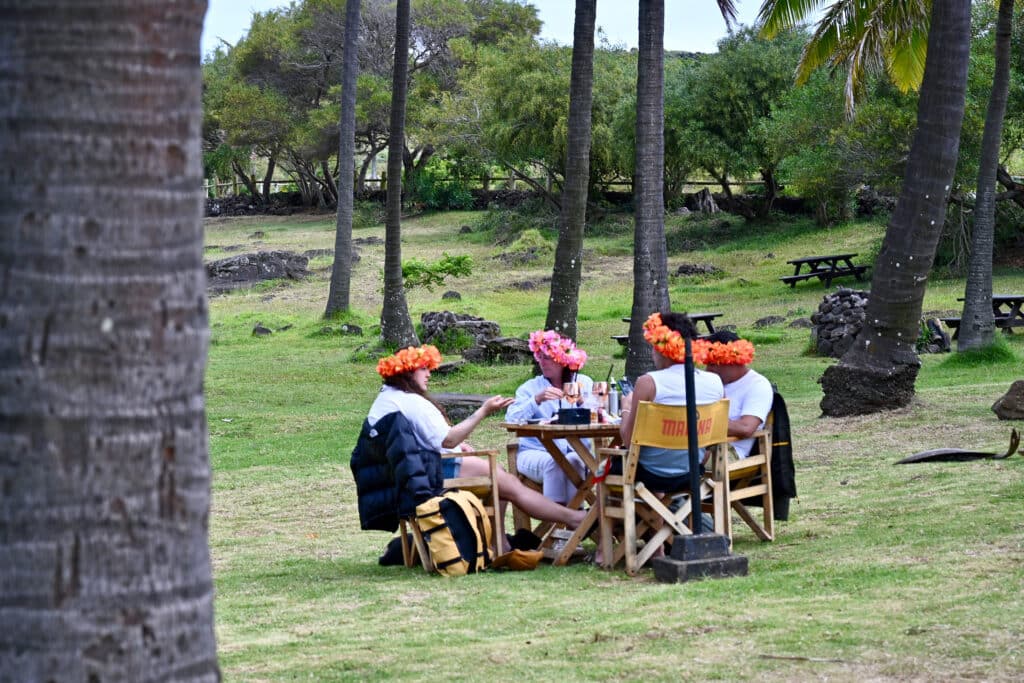 Four people sit in directors chairs around a table on a grassy area filled with palm trees. They are all wearing flower garlands on their heads - three orange and one pink.