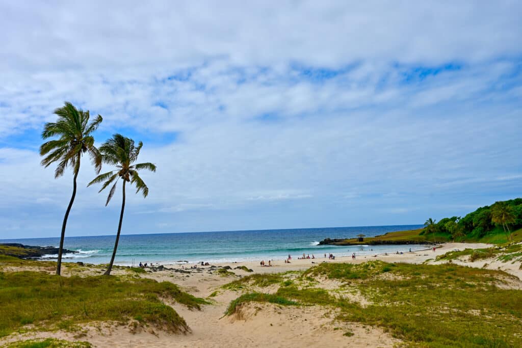 A sandy beach with patches of grass in the foreground, leads to a turquoise ocean bay with cloudy blue sky above. Two palm trees to the left