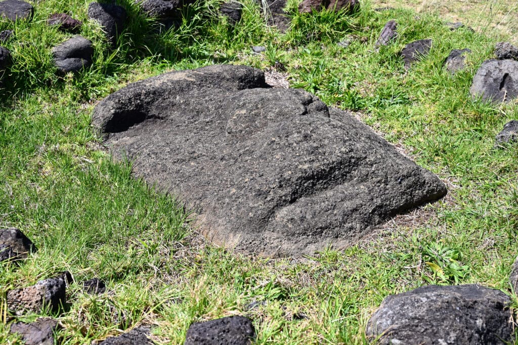 a carved stone face appears out of a grassy field as if half buried figure
