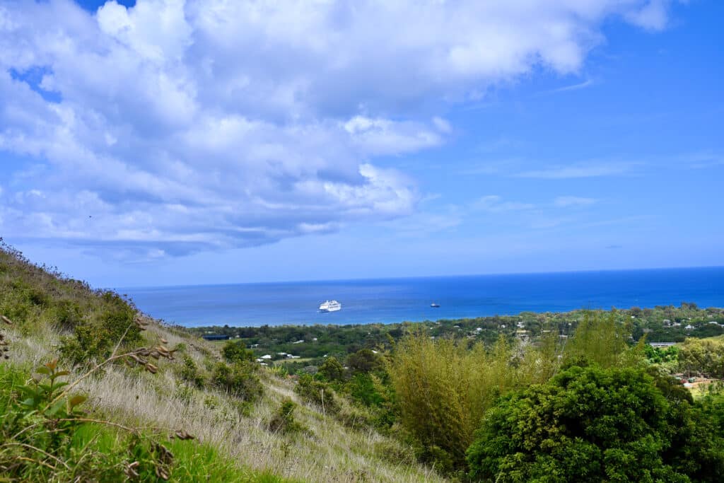 Grassy hillside in bottom part of frame, leading down to ocean. Blue sky above