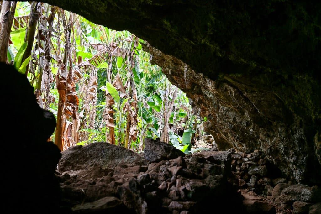 Looking out of a rocky cave to a strip of light to the right hand side. Through the gap you can see banana plants with brown trunks and green leaves