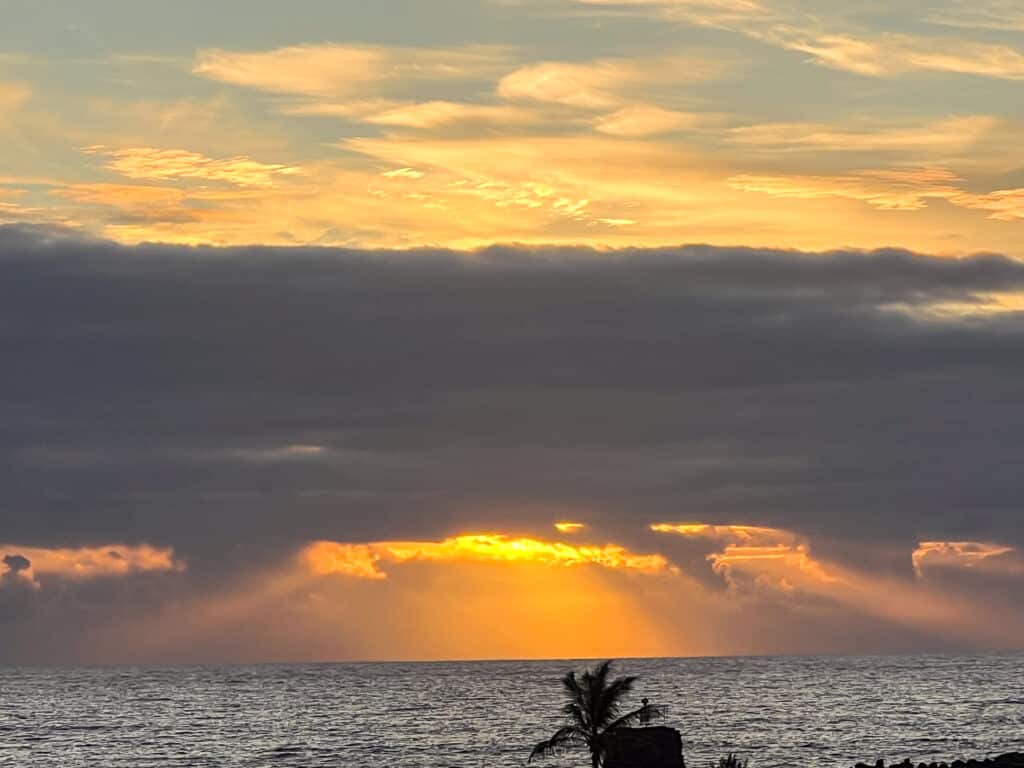 a sky filled with golden sun rise but largely hidden under a horizontal bank of grey cloud. Sun beams escape from the bottom of the cloud over a dark sea. One silhouetted palm tree at the bottom.