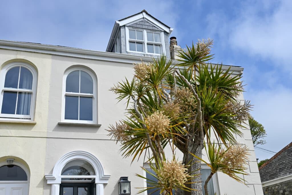 Looking up at a row of pale coloured two storey houses - pale yellow to the left and beige to the right. Arched windows. A dormer window on the roof. Blue sky with wispy white cloud. A tree with tropical foliage (some sort of palm?) stands in front.