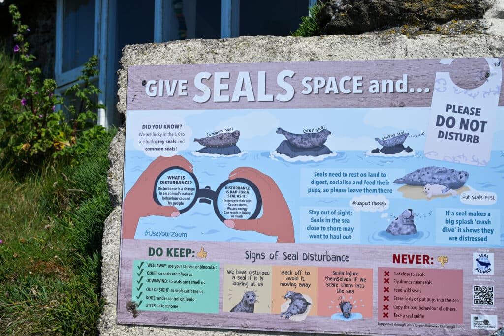A sign saying 'Give Seals Space', 'Do not disturb'. Cartoon graphics and info on the board.