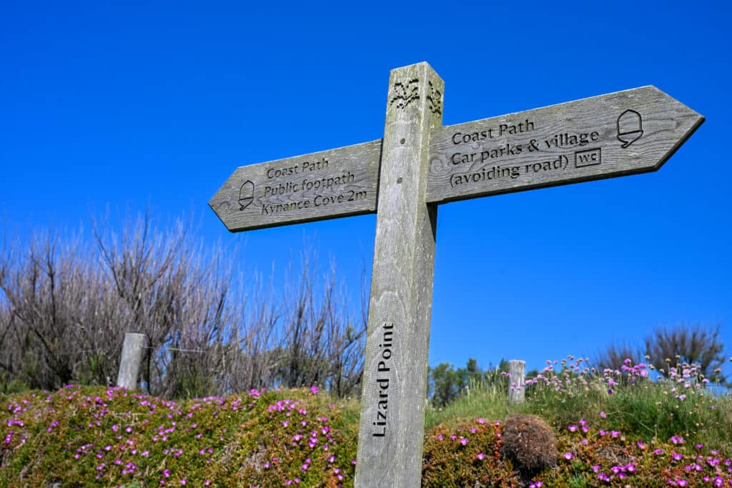 A wooden sign advertising Lizard Point and the Coast Path against blue sky and purple flowers