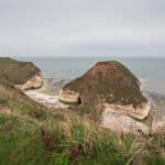 The Drinking Dinosaur at Flamborough Head