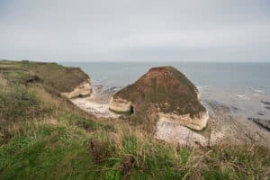 The Drinking Dinosaur at Flamborough Head