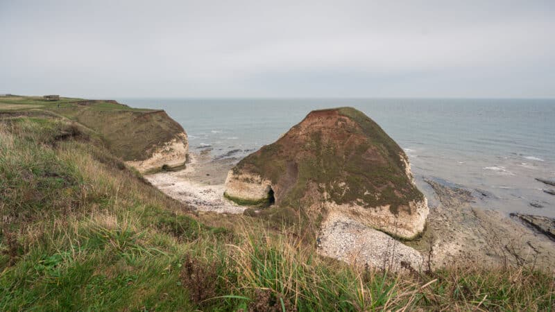 The Drinking Dinosaur at Flamborough Head