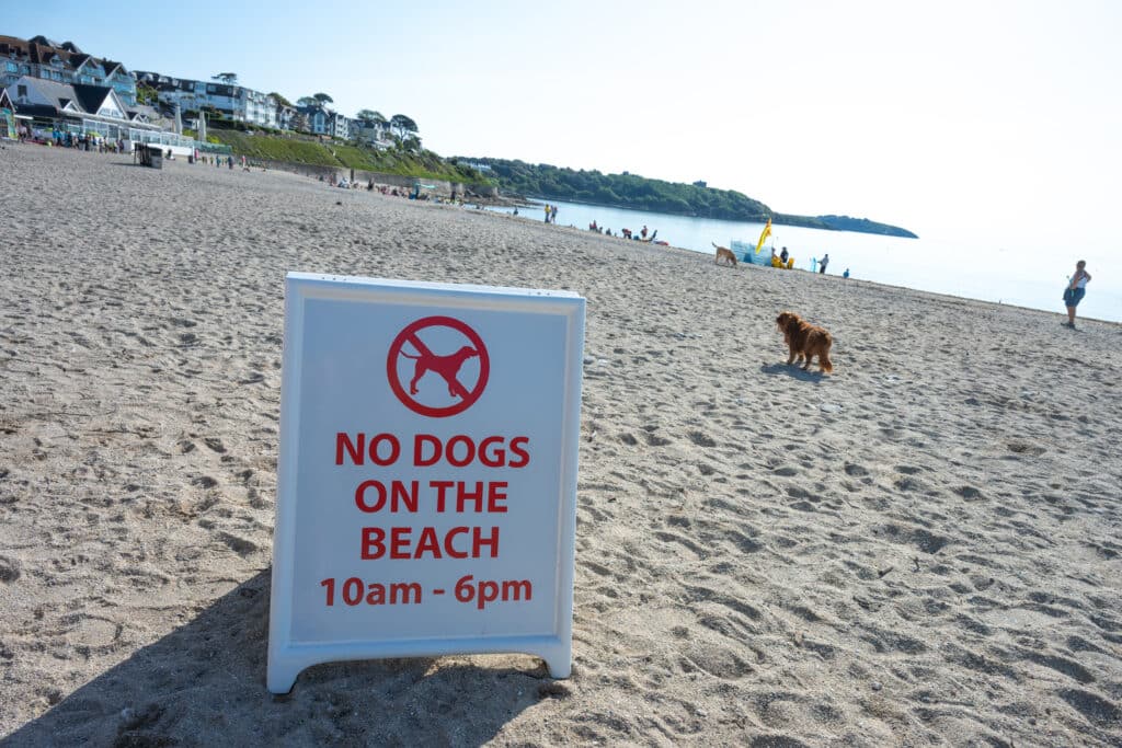 A white sign saying No Dogs On The Beach, 10am-6pm sits to bottom left of sandy beach. White houses at the top of the beach. Dogs and people on sand.