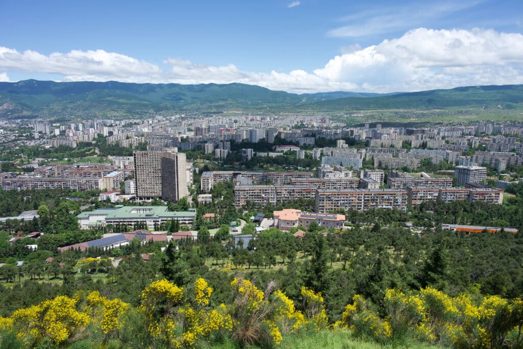 Looking down into a valley filled with austere blocks of flats. Yellow flowers in foreground. Hills behind.
