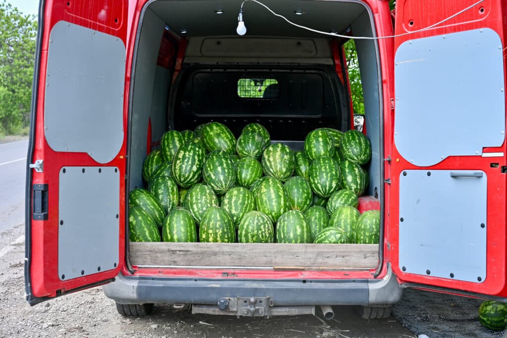 Back doors of a red van open to show piles of large watermelons.