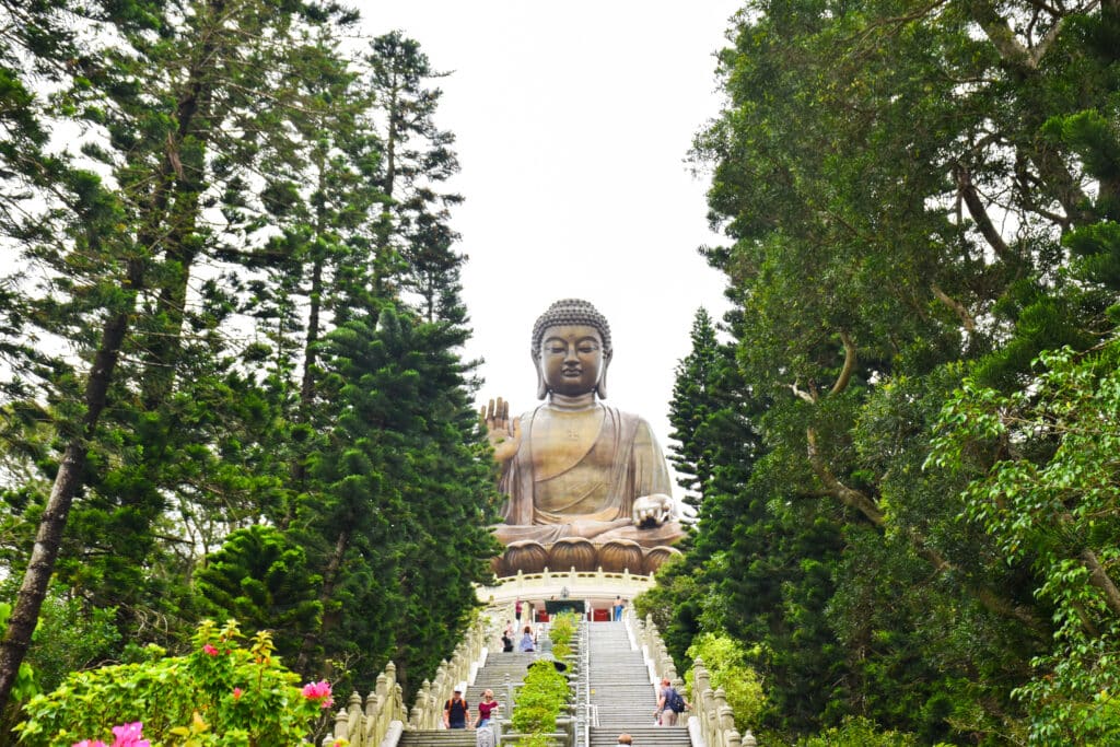 Looking up a staircase to a large sitting buddha statue. Trees either side