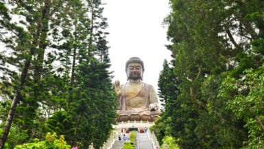Looking up a staircase to a large sitting buddha statue. Trees either side