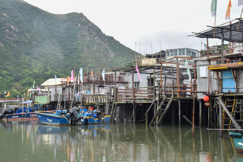 Houses on stilts on a river. Trees behind