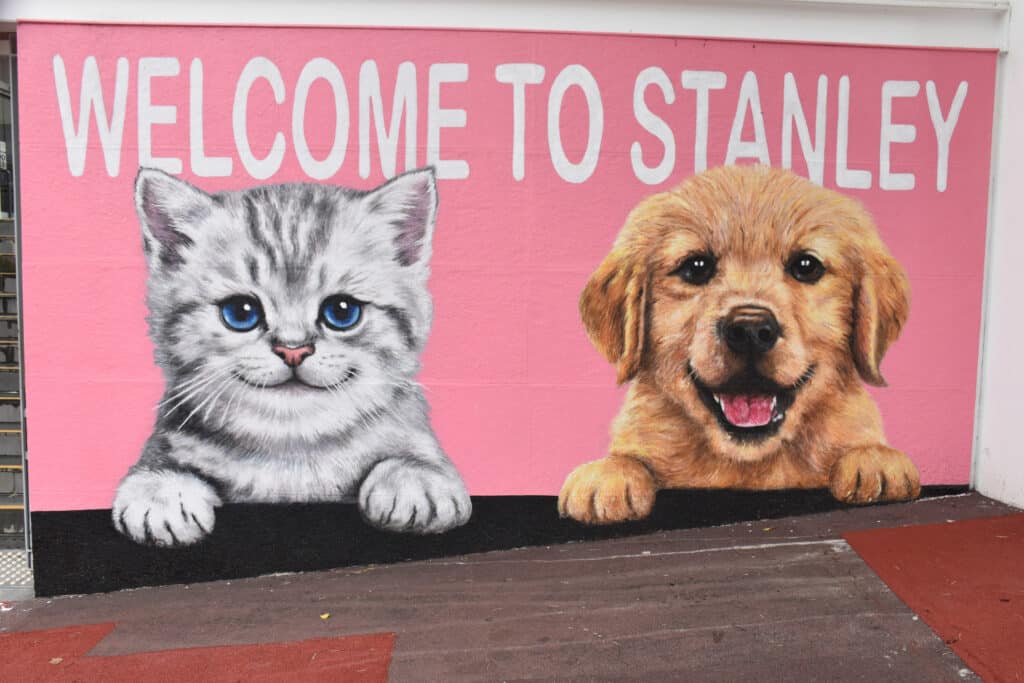 Pink wall mural saying Welcome to Stanley with large pictures of cat and dog
