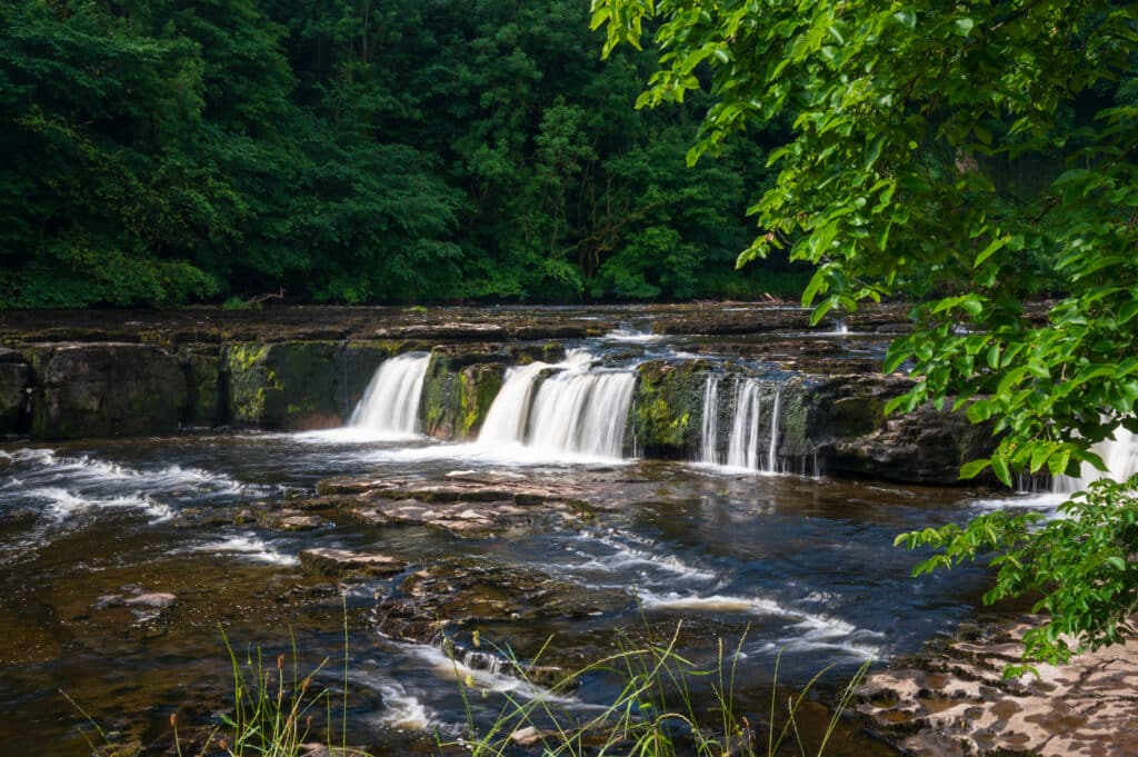 Aysgarth Falls Upper Falls in summer