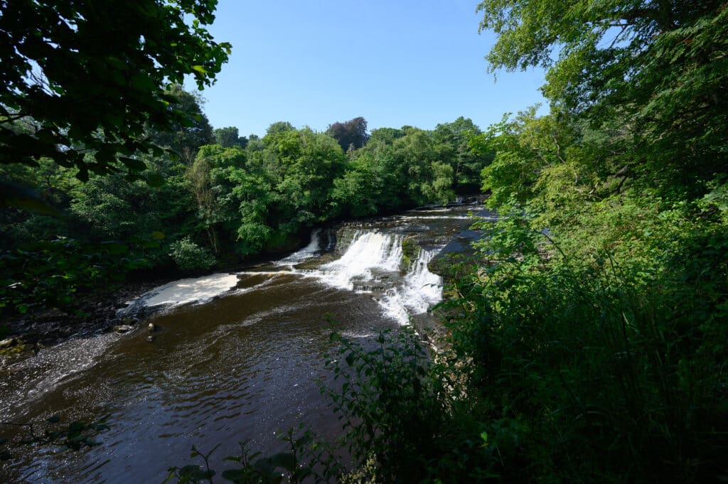 Aysgarth Falls - Middle Falls in summer