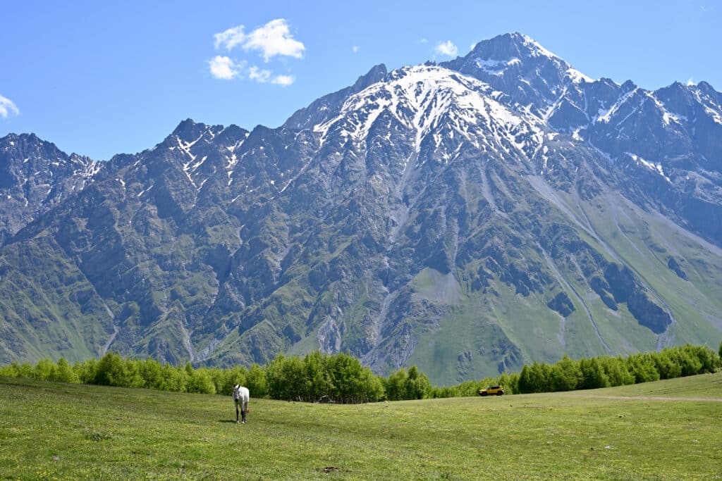 A singe white horse stands on a field with tall snow capped mountain behind,