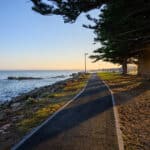 Paved coastal path runs beside a rocky shoreline under large Norfolk Island pines, with long shadows and golden sunset light over calm water. Limestone Coast