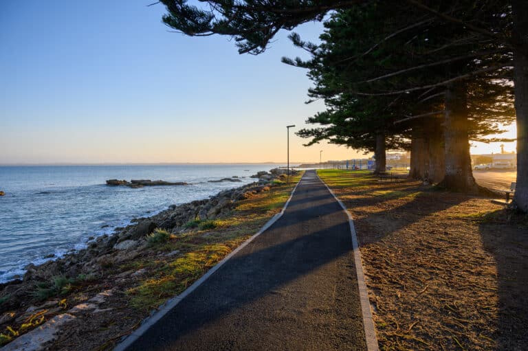 Paved coastal path runs beside a rocky shoreline under large Norfolk Island pines, with long shadows and golden sunset light over calm water. Limestone Coast