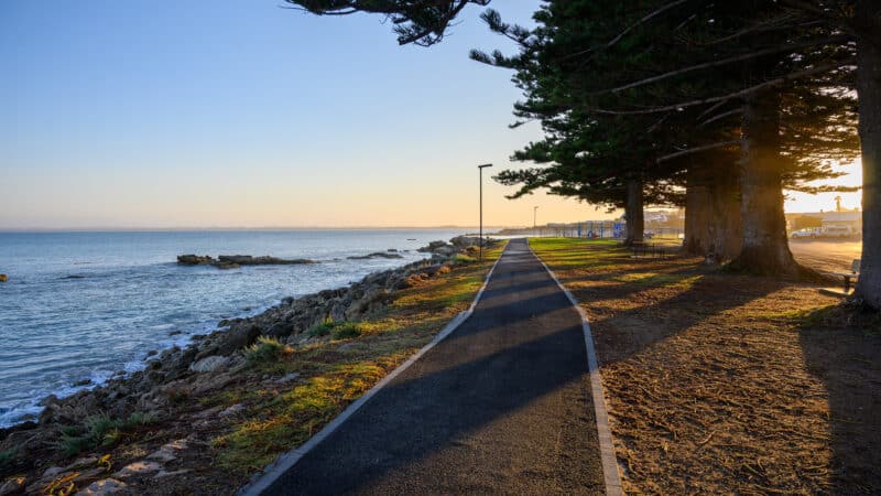 Paved coastal path runs beside a rocky shoreline under large Norfolk Island pines, with long shadows and golden sunset light over calm water. Limestone Coast