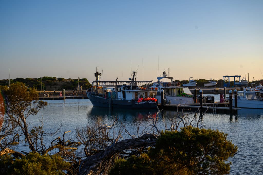 Fishing vessels including the grey “Harvest Moon” moored at a calm marina dock under clear late-afternoon light.