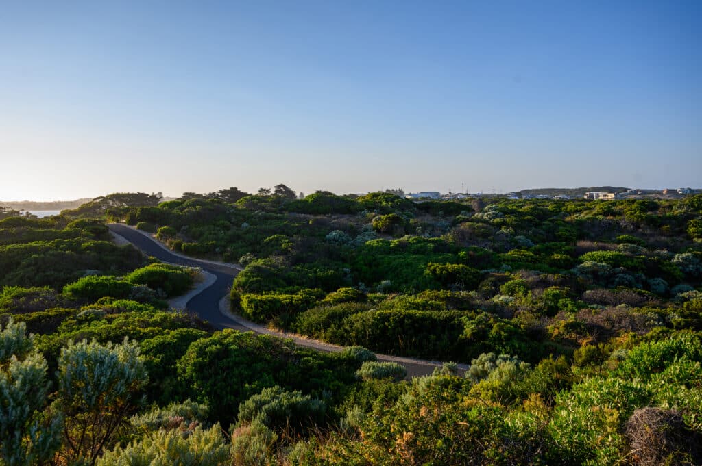 Sealed path curves through dense green coastal scrub toward distant houses and a clear blue sky.