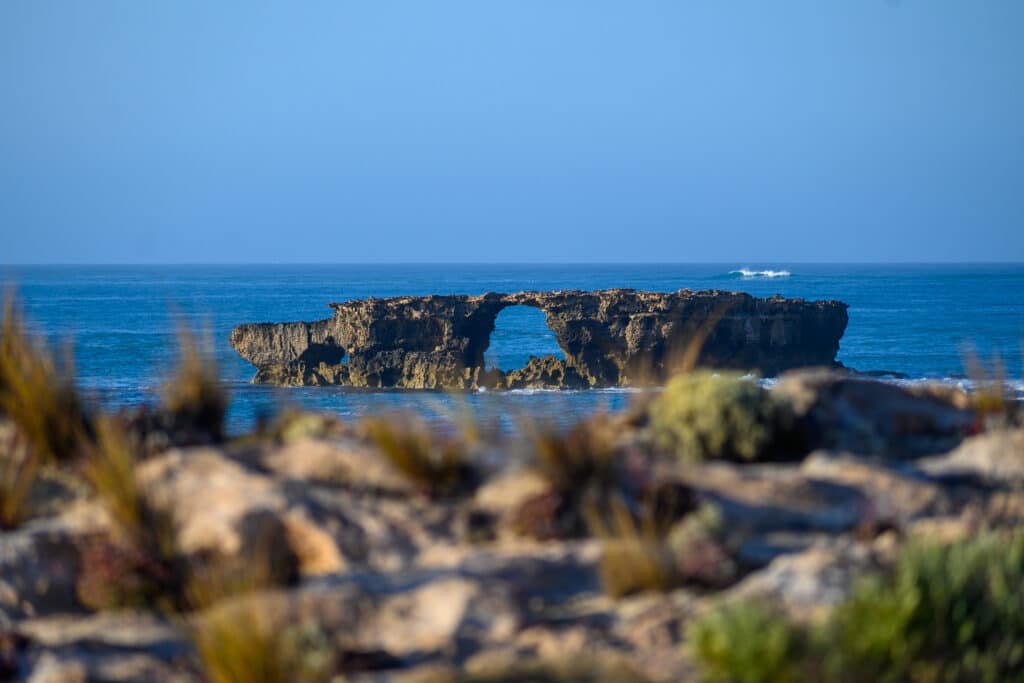 Large limestone rock formation with a central arched hole stands in the ocean, viewed through blurred foreground rocks and vegetation.