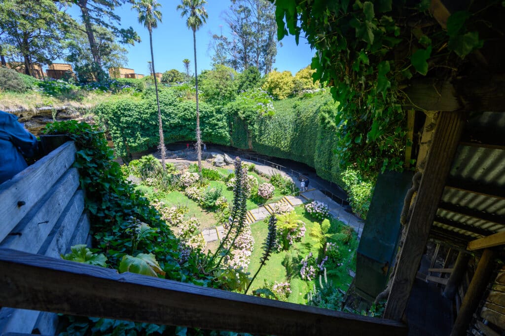 Elevated view into the circular garden of Umpherston Sinkhole, with paths, hydrangeas and visitors below.