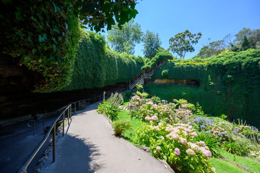 Paved path curves past beds of pink hydrangeas and ferns toward wooden stairs climbing the ivy-covered wall of the sinkhole.