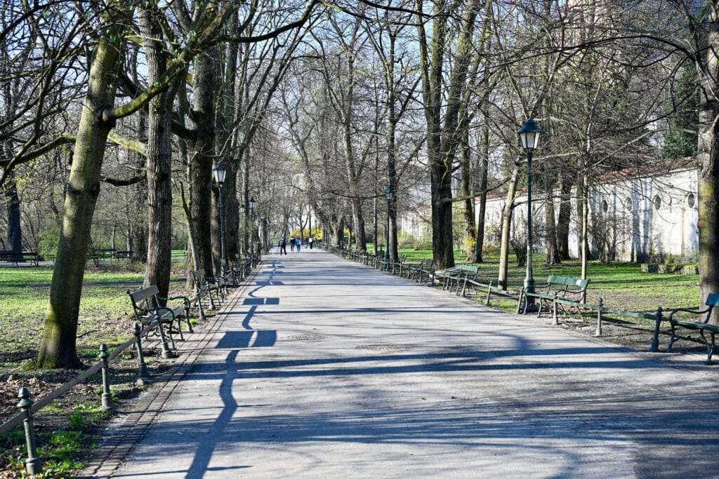View down a path lined by trees either side. No leaves on branches