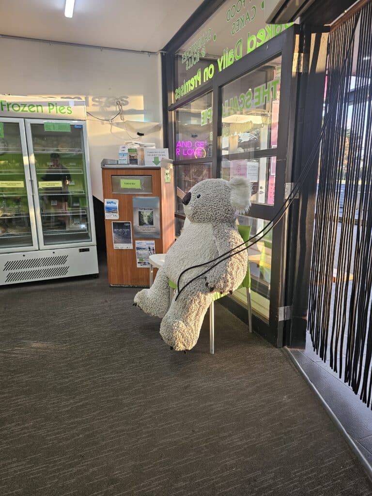 A large plush koala sits on a green chair beside the entrance to Apollo Bay Bakery, with a frozen pie cabinet nearby.
