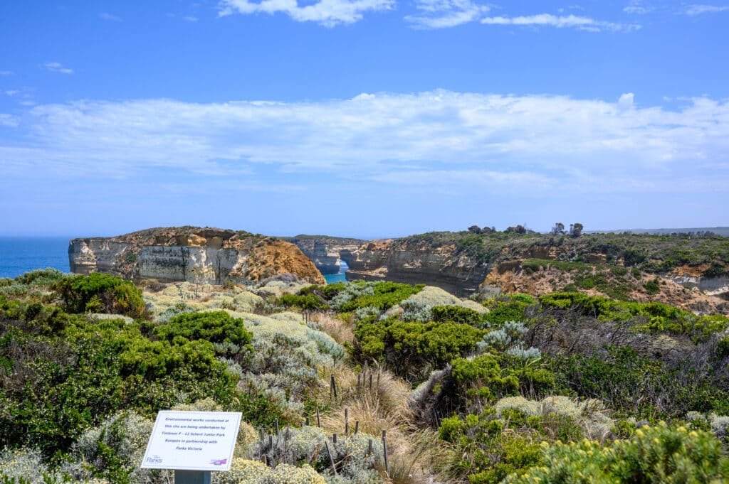 Coastal shrubs frame Mutton Bird Island and the limestone cliffs around Loch Ard Gorge, with blue ocean beyond.
