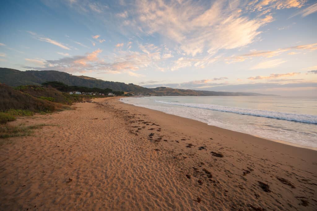Apollo Bay Beach curves towards coastal hills beneath pink morning clouds, with seaweed scattered across the sand.