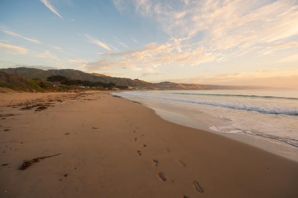 A trail of footprints follows Apollo Bay Beach beside gentle surf, with coastal hills beneath peach-coloured clouds.