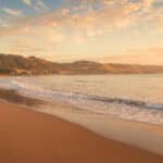 Warm morning light falls across Apollo Bay Beach and the surrounding hills as a small wave breaks along the shore.