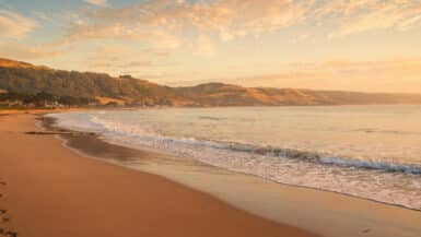 Warm morning light falls across Apollo Bay Beach and the surrounding hills as a small wave breaks along the shore.