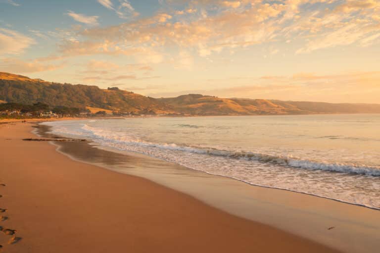 Warm morning light falls across Apollo Bay Beach and the surrounding hills as a small wave breaks along the shore.